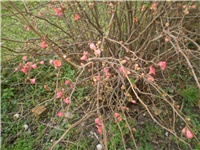 70f63de9-Picture 6833.jpg